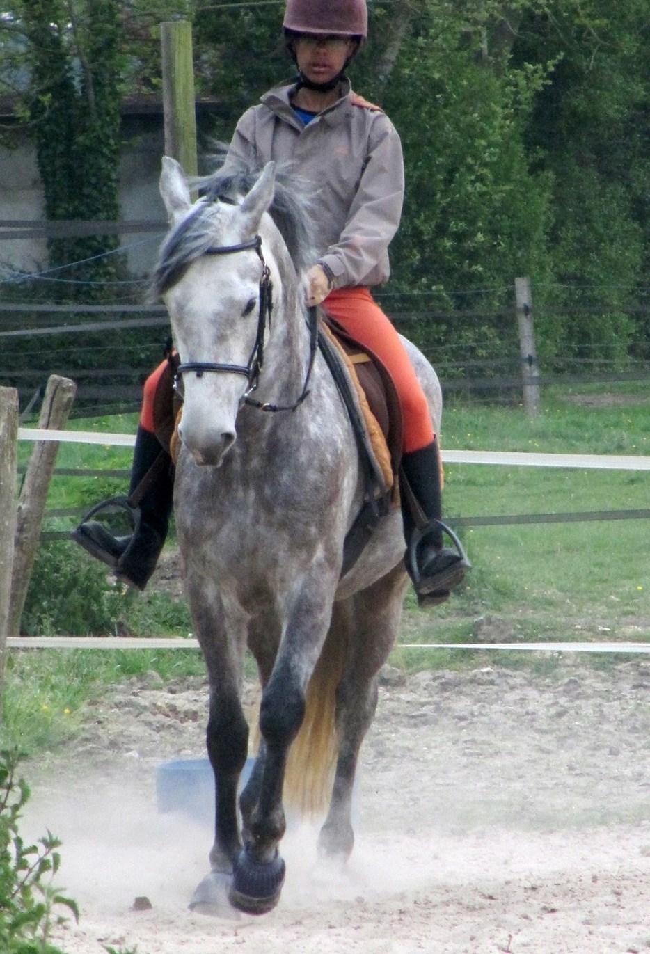 Travail avec Quahinée