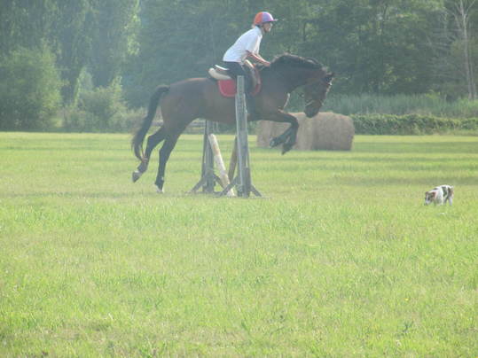 Un peu de Saut :)