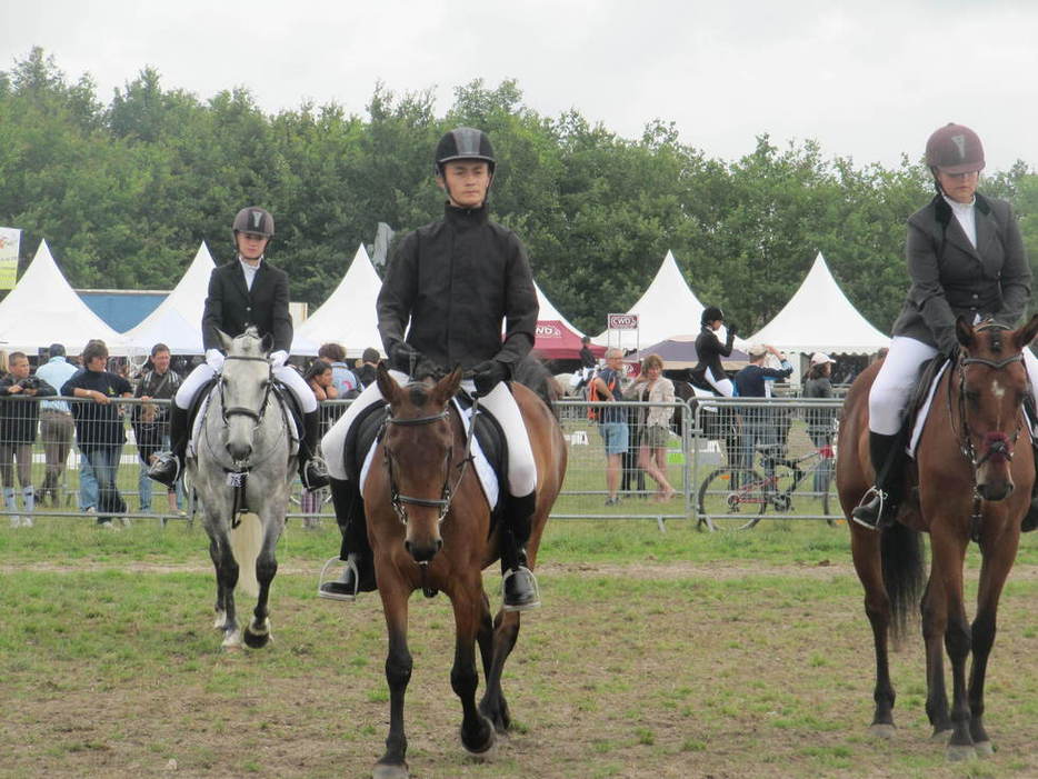 Championnats de France 2010