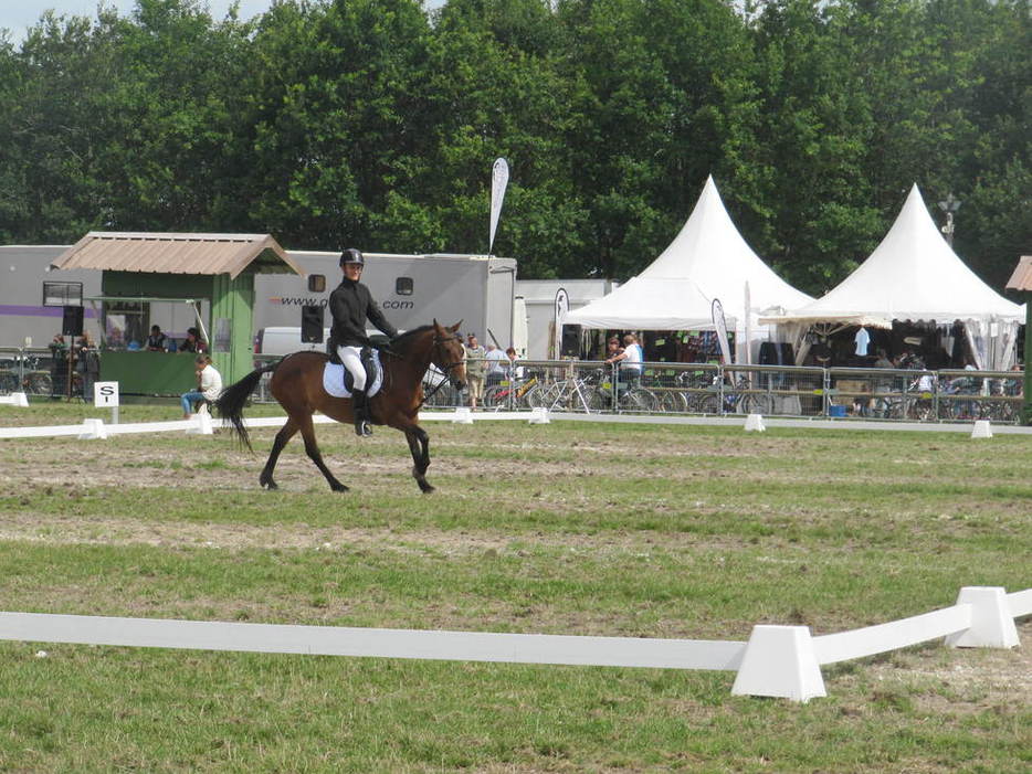 Championnats de France 2010