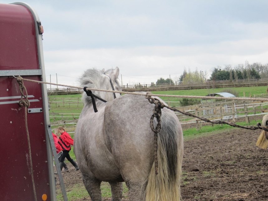 CCE le 28 mars à Beaumont pied de boeuf